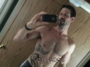 ALPHADOG