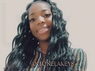 ANTONELAKEYS