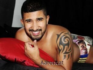 Aaroncat
