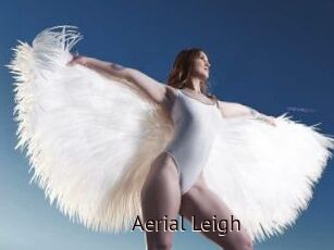 Aerial_Leigh