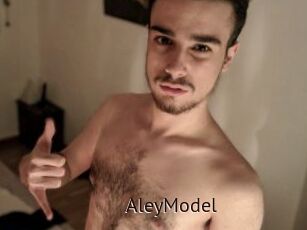 AleyModel