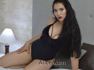 AliceAdam
