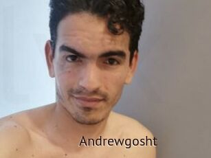 Andrewgosht