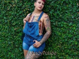 AndyPulido