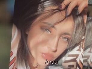 Aneu