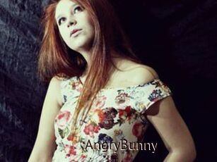 AngryBunny