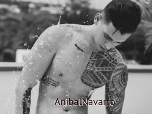 AnibalNavarro