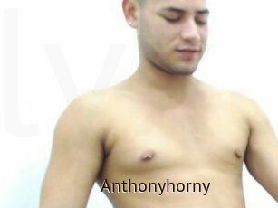 Anthonyhorny