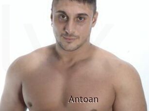 Antoan