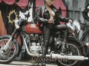 AntonellaParac