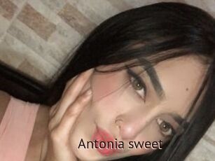 Antonia_sweet