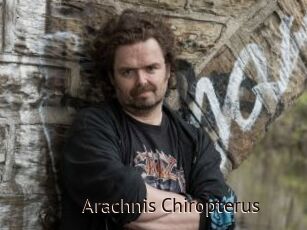 Arachnis_Chiropterus