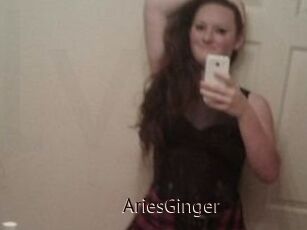 AriesGinger