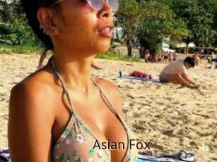 Asian_Fox