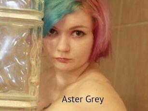 Aster_Grey