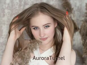 AuroraTurnel