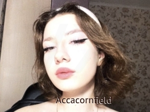Accacornfield