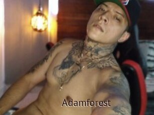 Adamforest