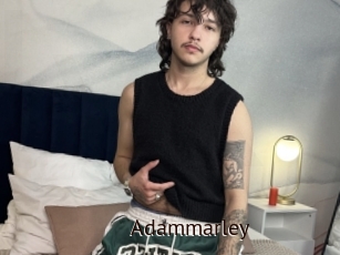 Adammarley