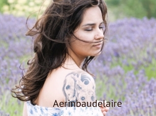 Aerinbaudelaire