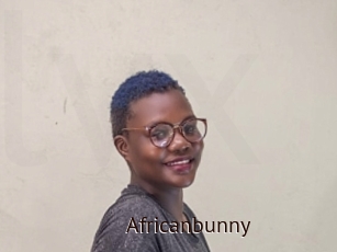 Africanbunny