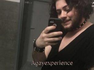 Agayexperience