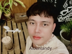 Aidenlandy