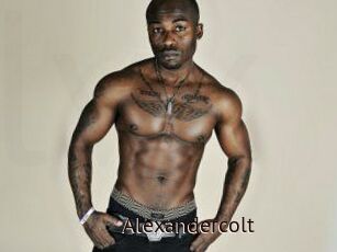 Alexandercolt