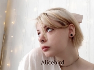 Alicebird