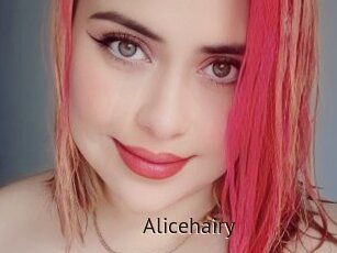 Alicehairy
