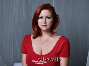 Alisacalla