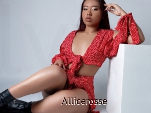 Allicerosse