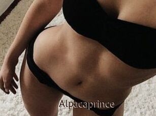 AlpacaPrince