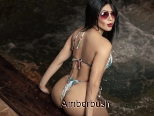 Amberbush