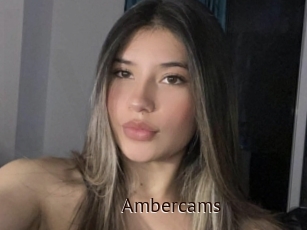Ambercams