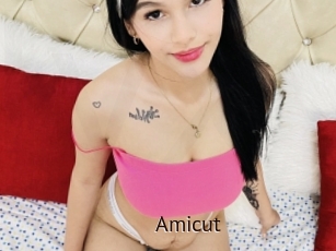 Amicut