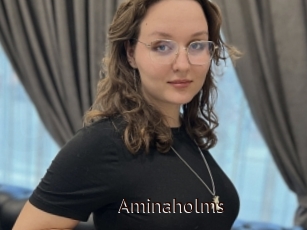 Aminaholms