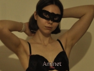 Aminet