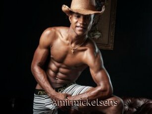 Amirmickelsens