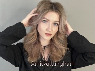 Amitygillingham