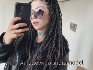 Amodelwhoisnotamodel