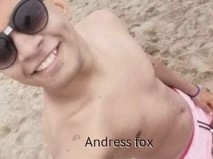 Andress_fox
