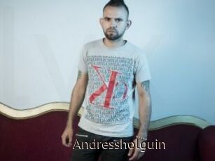 Andressholguin