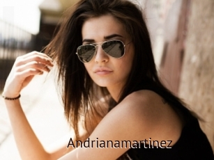 Andrianamartinez