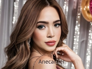 Anecartier