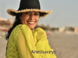 Anelisareyn