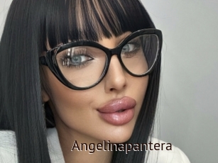 Angelinapantera
