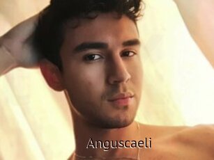 Anguscaeli
