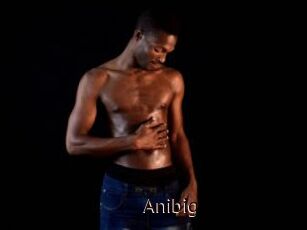 Anibig