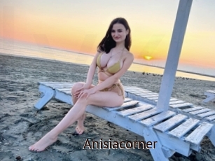 Anisiacorner